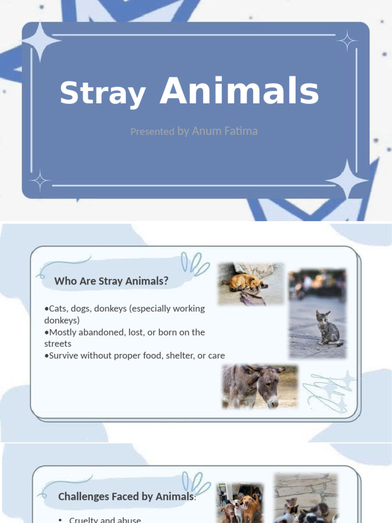 Understanding Stray Animals and Solutions | PDF