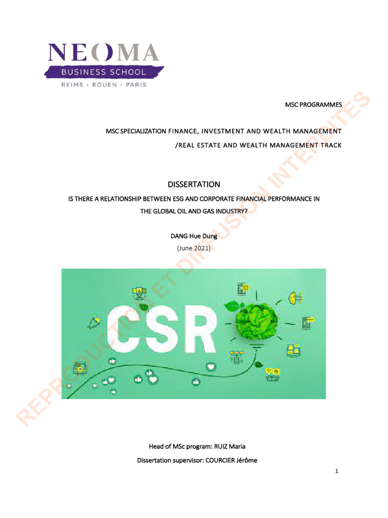 Hue-Dung DANG Final Dissertation | PDF | Corporate Social ...