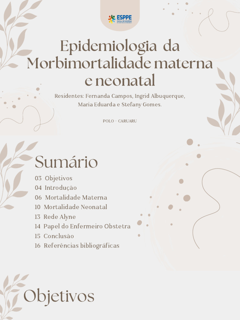 Epidemiologia Da Morbimortalidade Materna e Neonatal | PDF ...