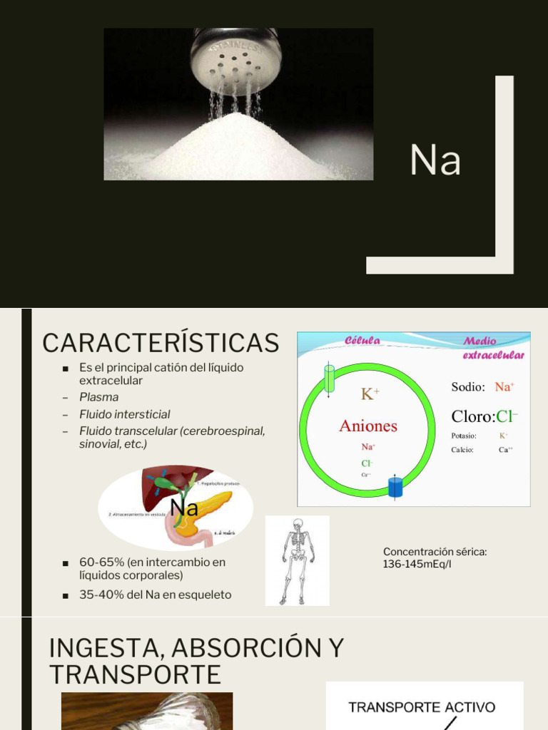 Funciones y Efectos del Sodio en Salud | PDF | Sodio | Fisiología