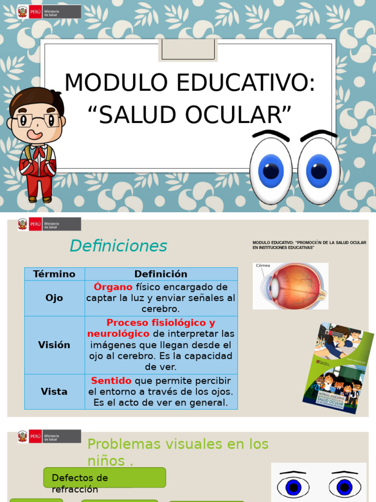 Promoción de la Salud Ocular Infantil | PDF | Percepción visual | Ojo ...