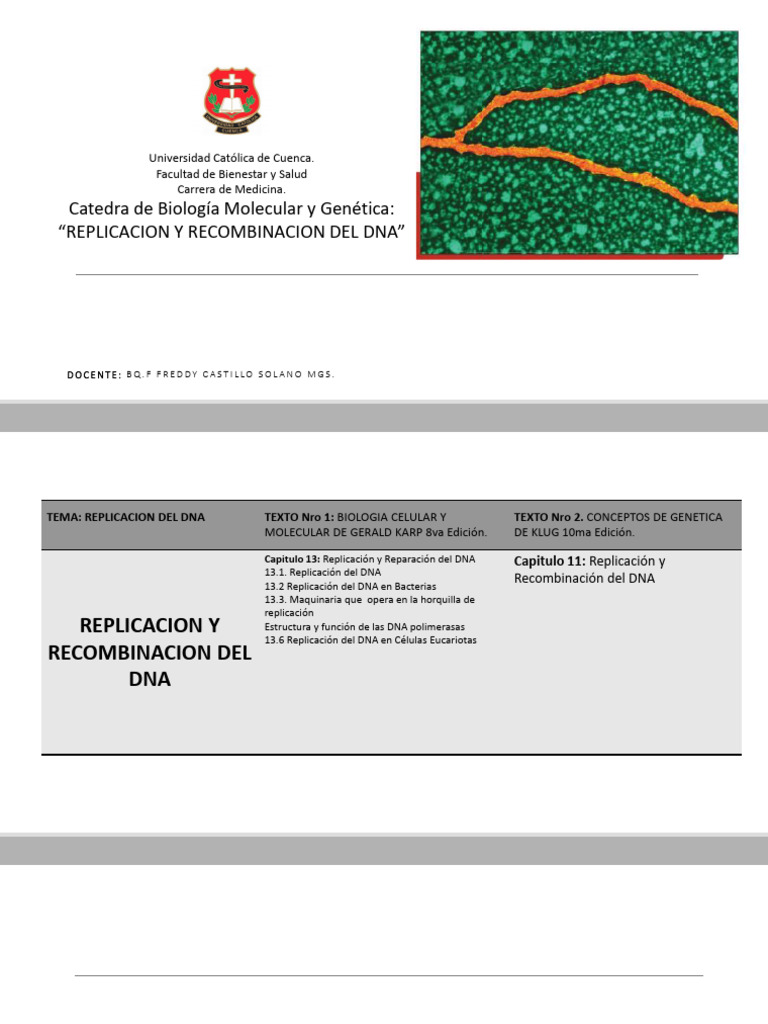 Replicacion y Recombinacion Del Dna | PDF | Replicación De Adn | Adn