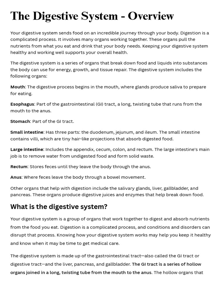 The Digestive System PDF | PDF | Human Digestive System ...