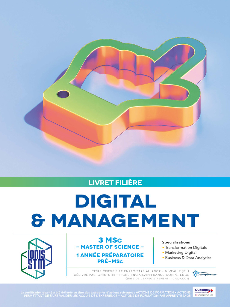 Pré-MSc en Digital et Management | PDF | Commercialisation | Business