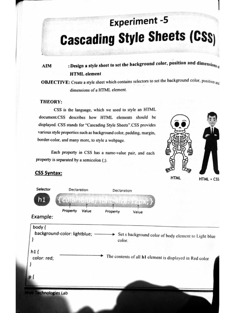Experiment 5 | PDF