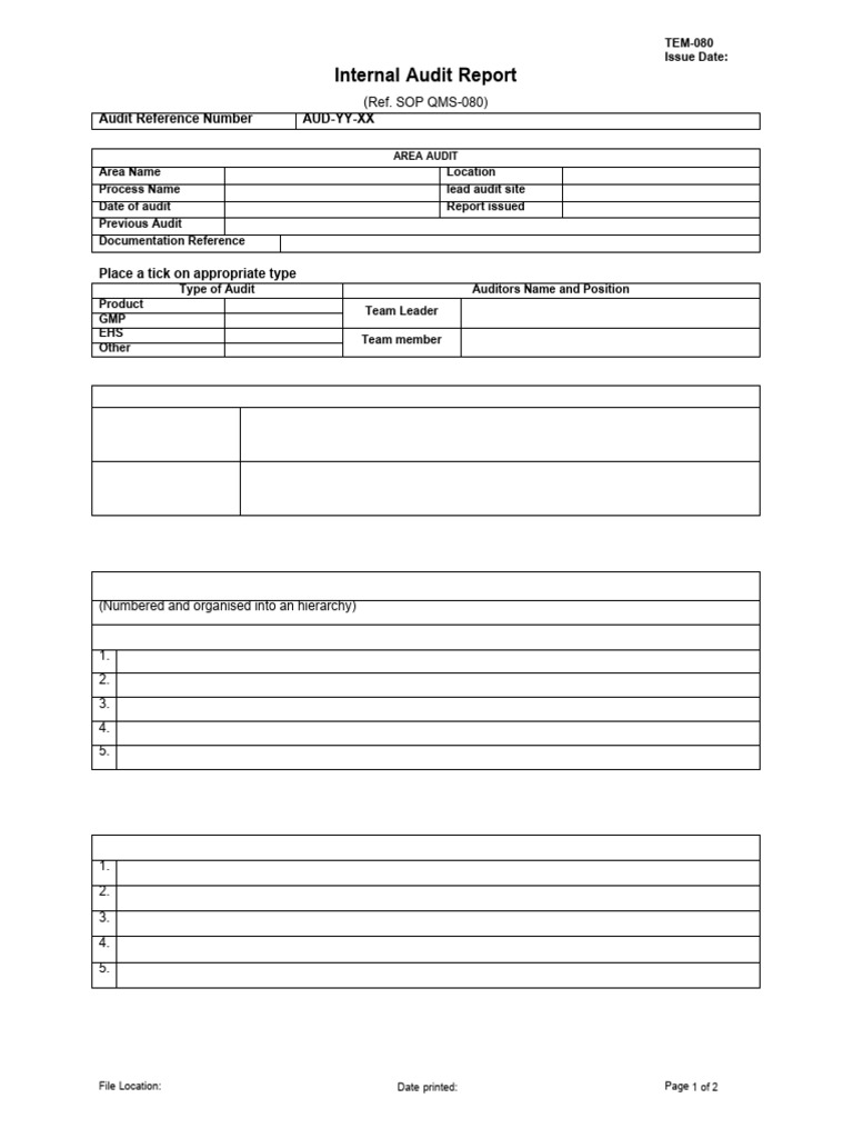 Time Audit Template - TEM-080 | PDF