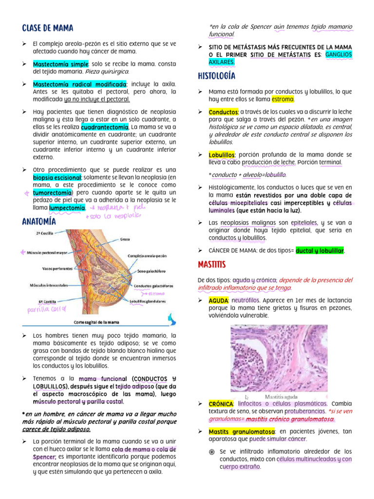 Cicatriz por Cuadrantectomía en Mama | PDF | Pecho | Cáncer de mama