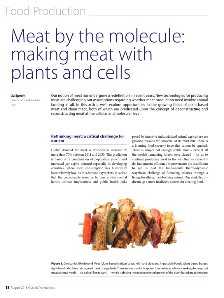 Rethinking Meat: Clean and Plant-Based | PDF | Proteins | Meat