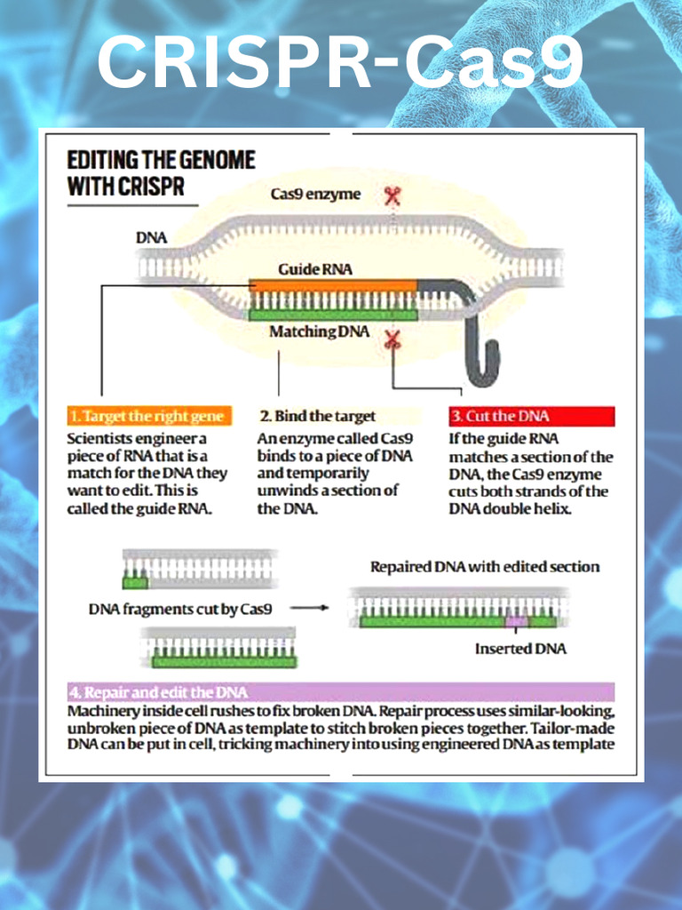 CRISPR Cas9 | PDF