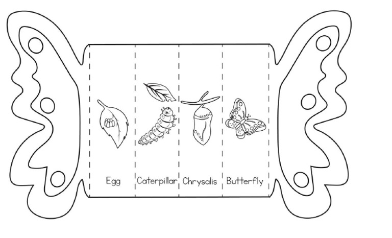 Butterfly | PDF