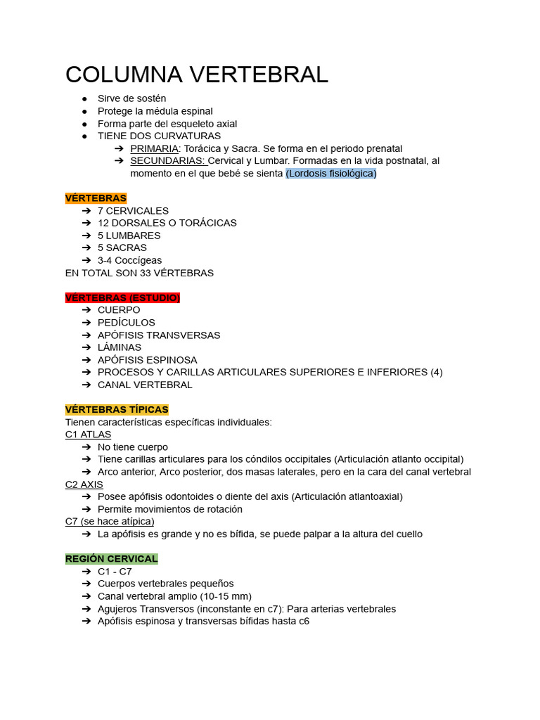 Anatomía y Funciones de la Columna Vertebral | PDF | Vértebra | La ...