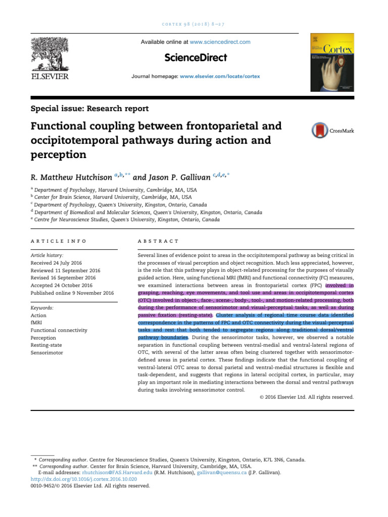 Functional Coupling Between Frontoparietal and Occipitotemporal Pat ...