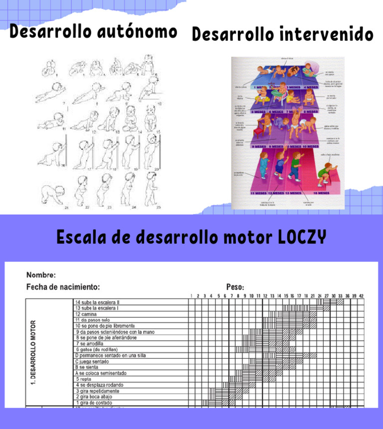 Desarrollo Autónomo Vs Intervenido | PDF