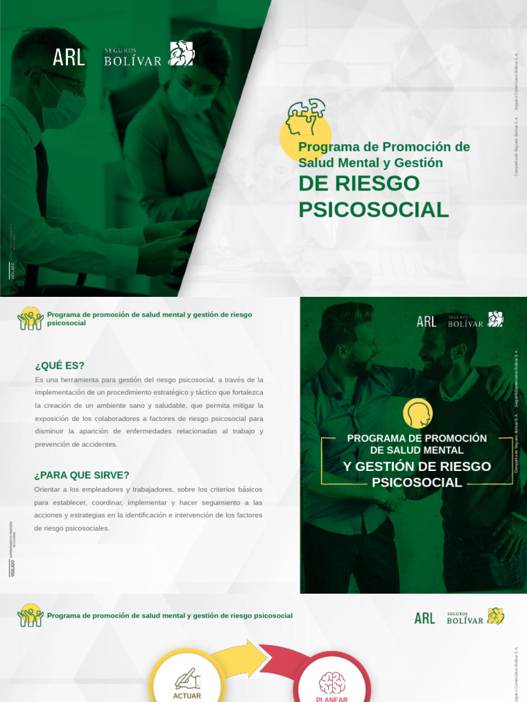 Programa de Salud Mental y Riesgo Psicosocial | PDF | Salud mental ...