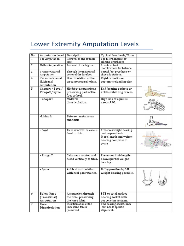 Screenshot 2025-06-16 at 11.23.49 | PDF | Prosthesis | Amputation