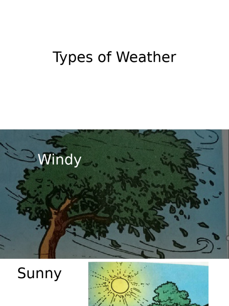 Types of Weather Explained | PDF