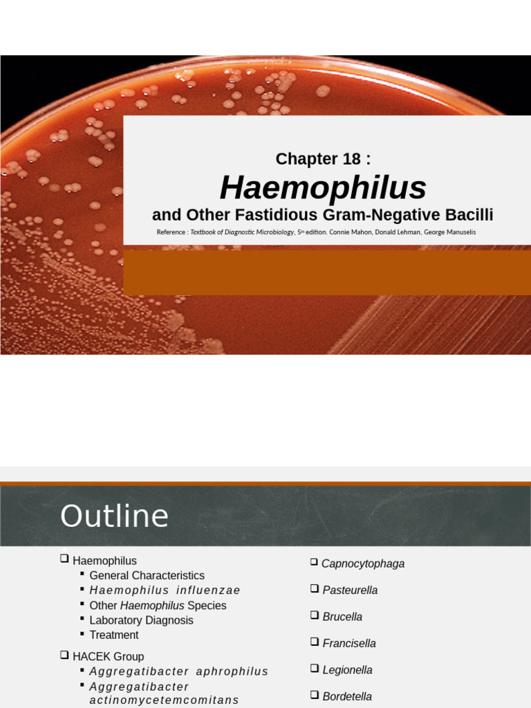 Haemophilus and Fastidious Gram-Negative Bacilli | PDF | Microbiology ...