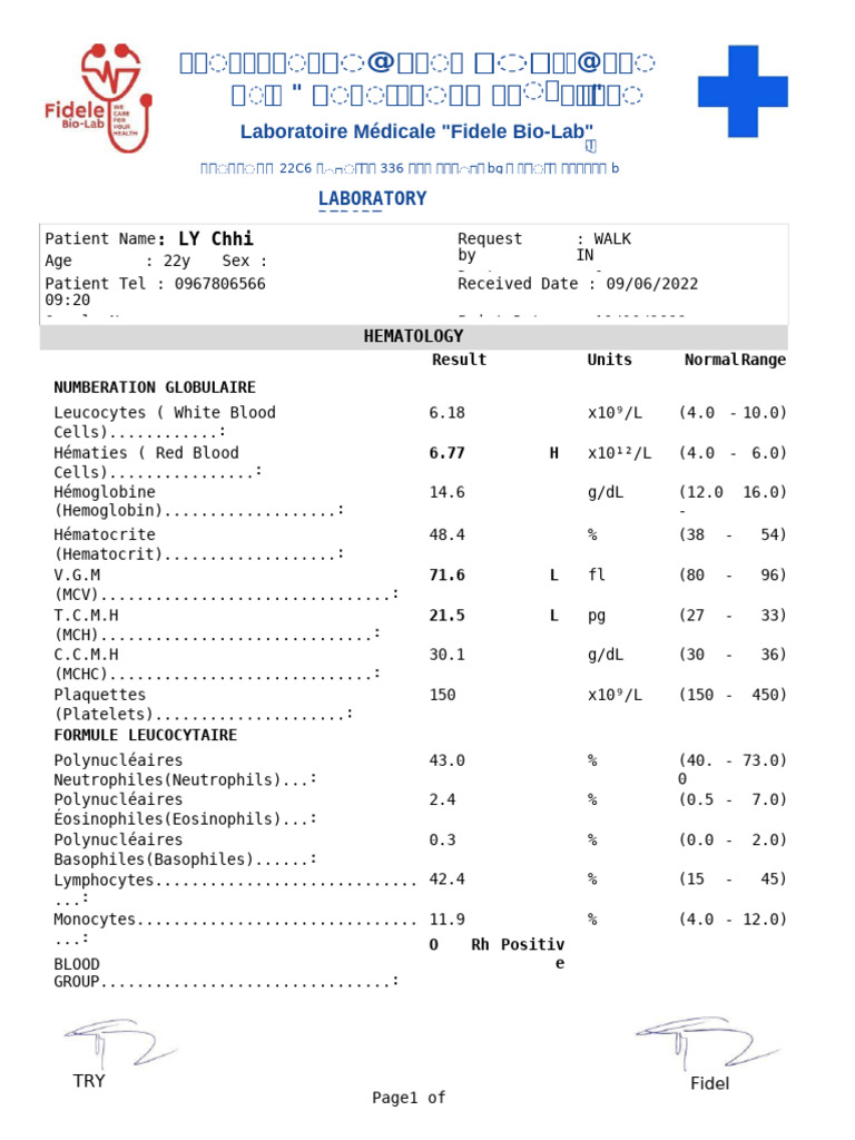 Blood Test Report for Patient LY Chhi | PDF | White Blood Cell ...