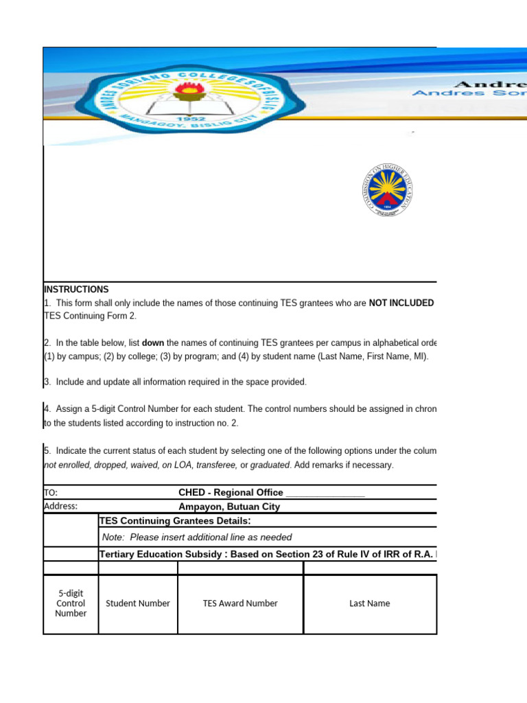 TES Continuing Grantees Consolidation Form | PDF | Human Life Stages ...
