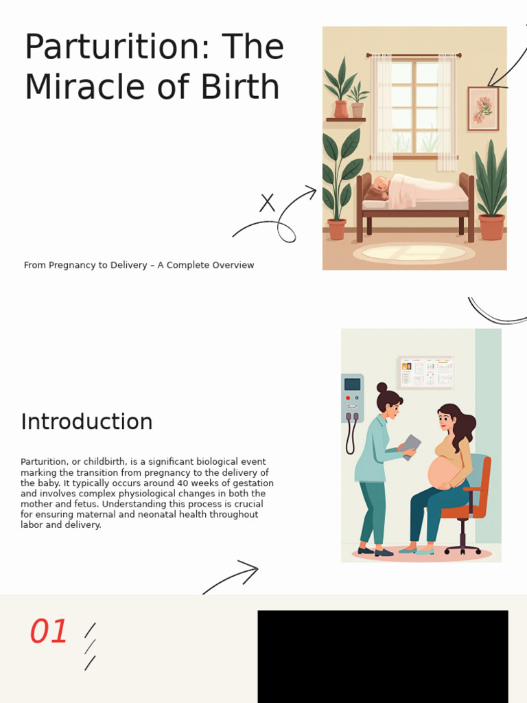 Understanding Parturition: Birth Process Guide | PDF | Childbirth ...