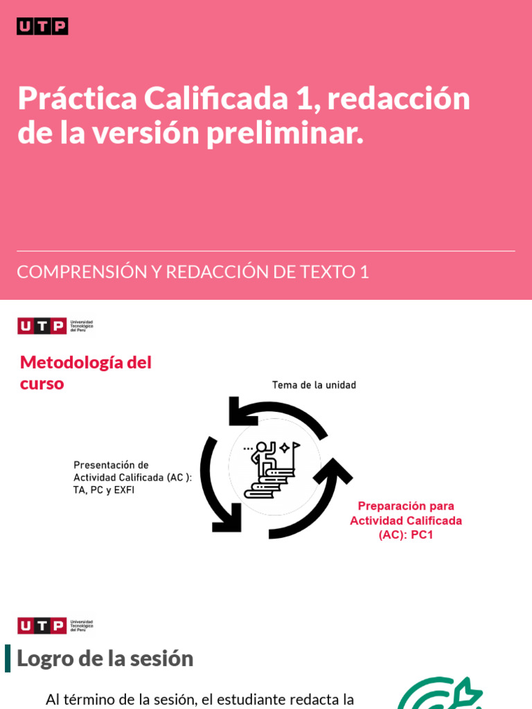 Redacción de la Versión Preliminar PC1 | PDF