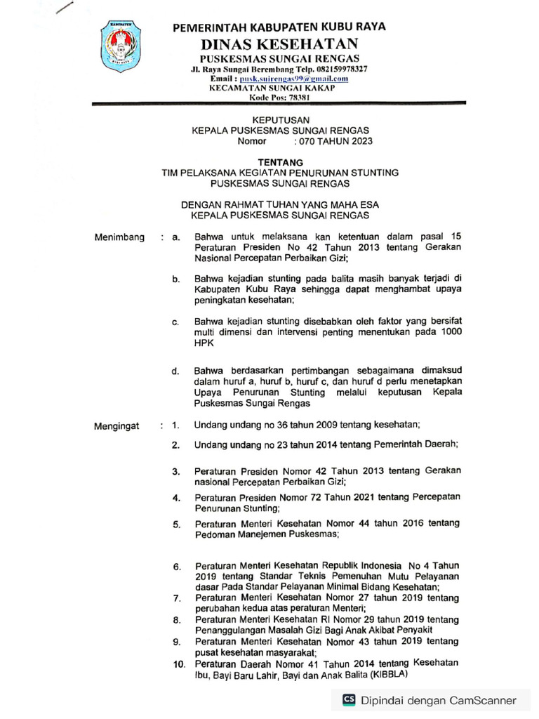 Sk Tim Pelaksana Kegiatan Penurunan Stunting Pdf