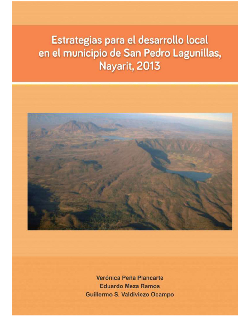 Estrategias de Desarrollo Local | PDF | Planificación