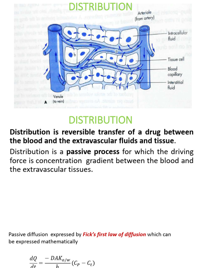 Drug Distribution Mechanisms Explained | PDF | Cell Membrane | Biochemistry