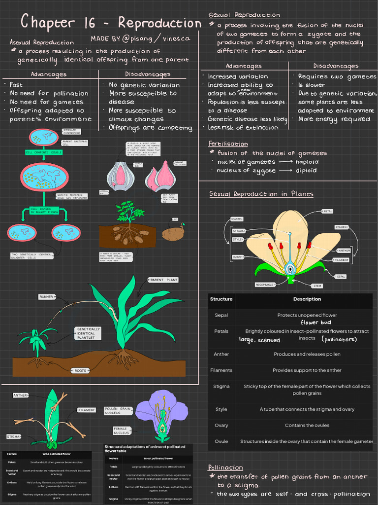 Reproduction | PDF