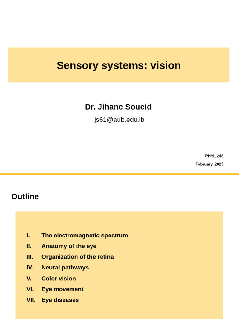 Understanding Human Vision Systems | PDF | Visual Perception | Retina