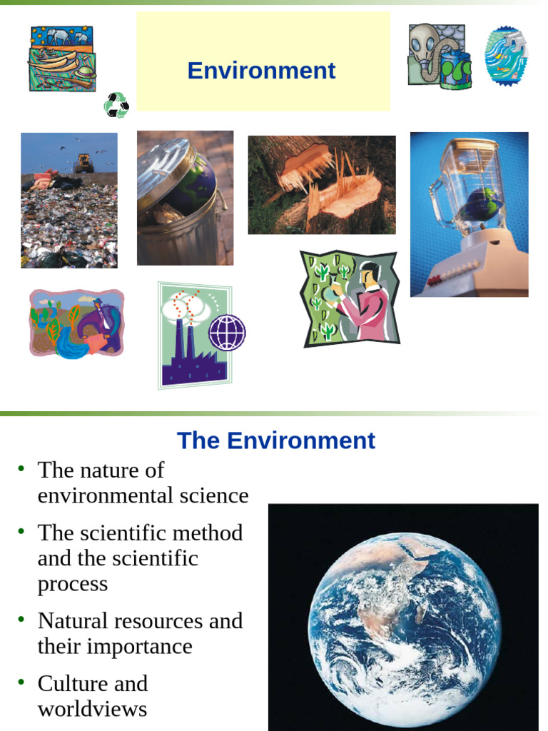 Understanding Environmental Issues and Ethics | PDF | Sustainability ...