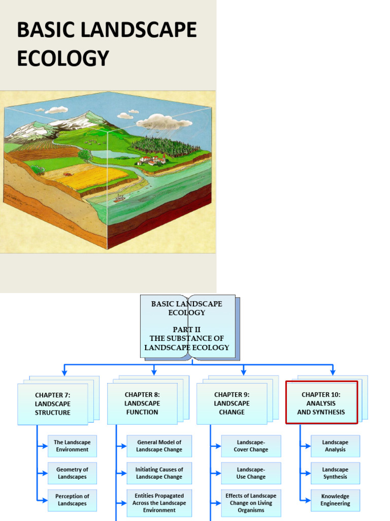 Analyzing Savanna Landscape Patterns | PDF | Spatial Analysis | Ecology