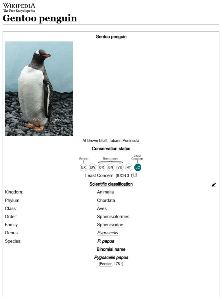 Gentoo Penguin: Facts and Classification | PDF | Penguin | Seabird