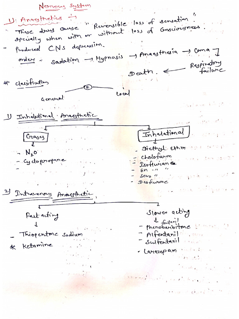 Short Cns | PDF