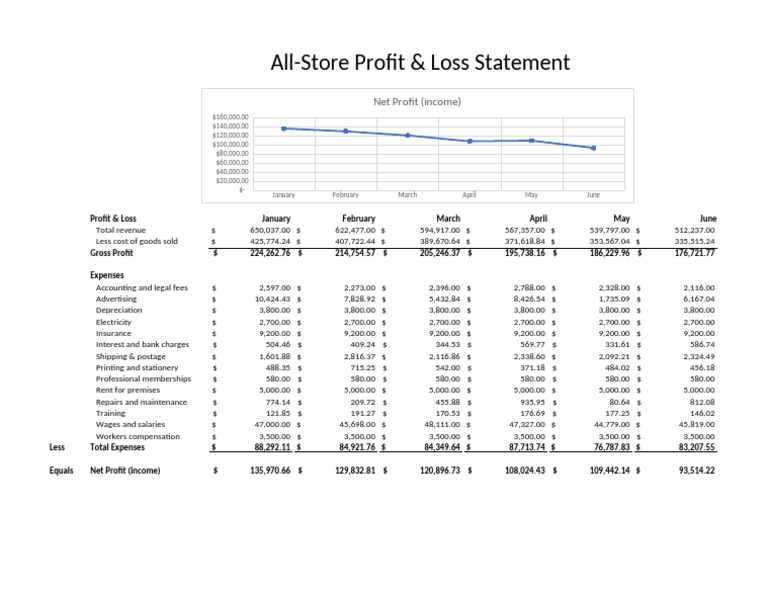 MAT-20013 All-Store Profit and Loss Statement | PDF | Income Statement ...