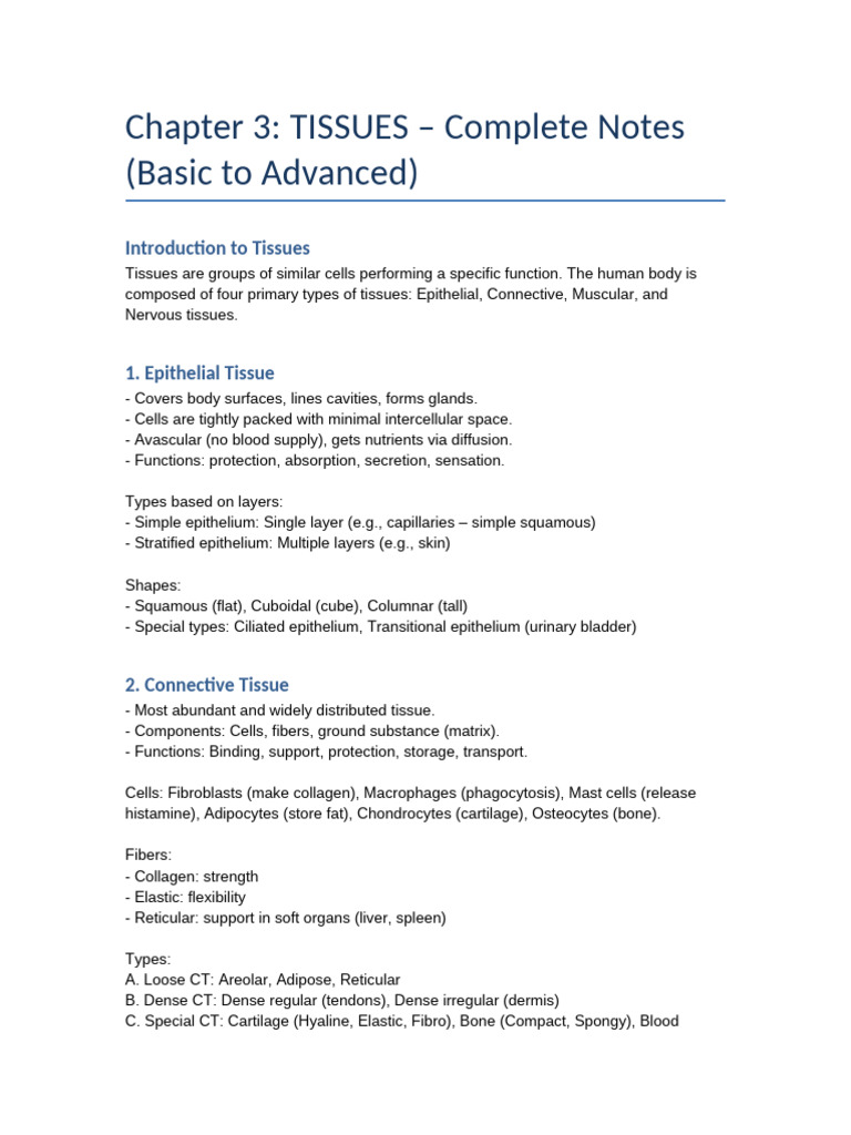 Overview of Human Body Tissues | PDF | Epithelium | Connective Tissue