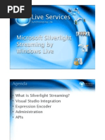 Download 06 Silver Light Streaming by Sivadon Chaisiri SN8915173 doc pdf