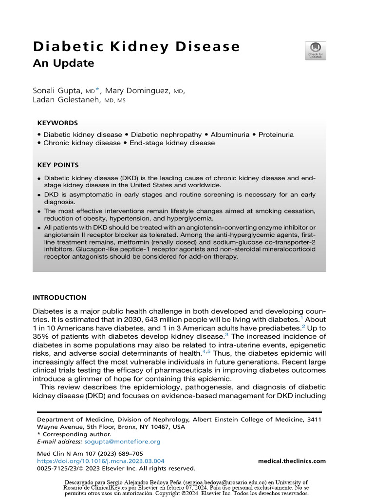 Diabetic Kidney Disease Overview | PDF | Diabetes | Chronic Kidney Disease
