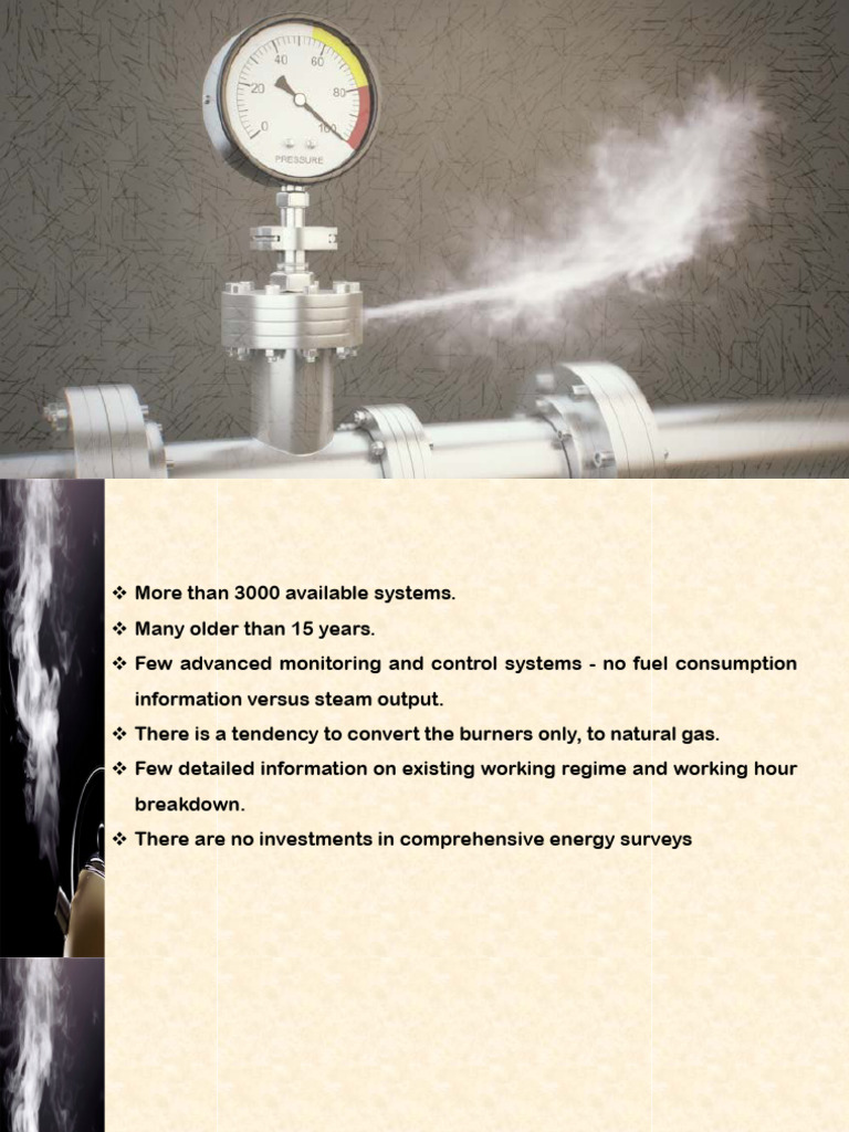 Steam Generator Efficiency Analysis | PDF | Boiler | Combustion