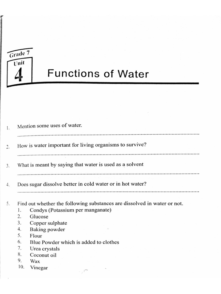 New Document | PDF