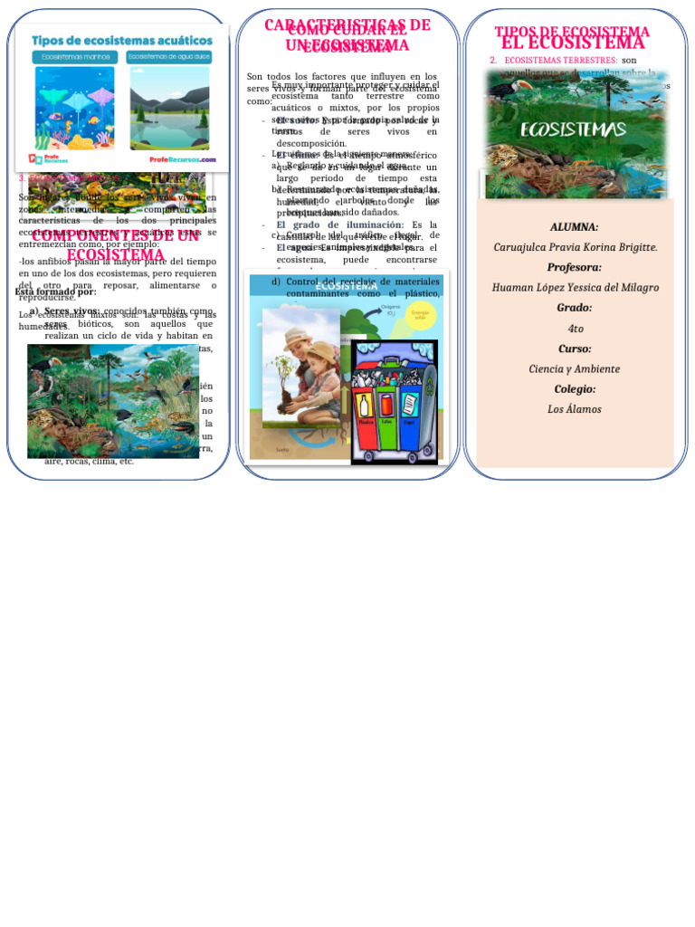 Componentes y tipos de ecosistemas | PDF | Ecosistema | Suelo