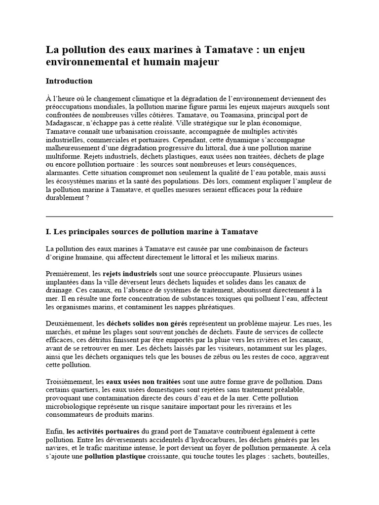 Pollution marine à Tamatave : enjeux et solutions | PDF | la pollution ...