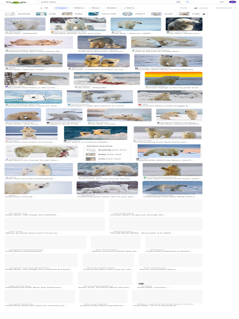 Polar Bear Facts and Resources | PDF | Polar Bear | Bears