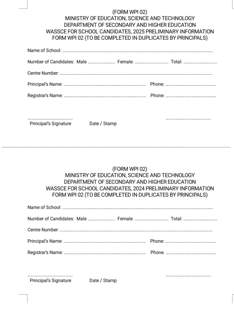 2025 Wpi Form | PDF