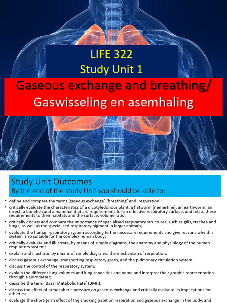 Study+Unit+1+ ++Gaseous+Exchange | PDF | Respiratory System | Lung