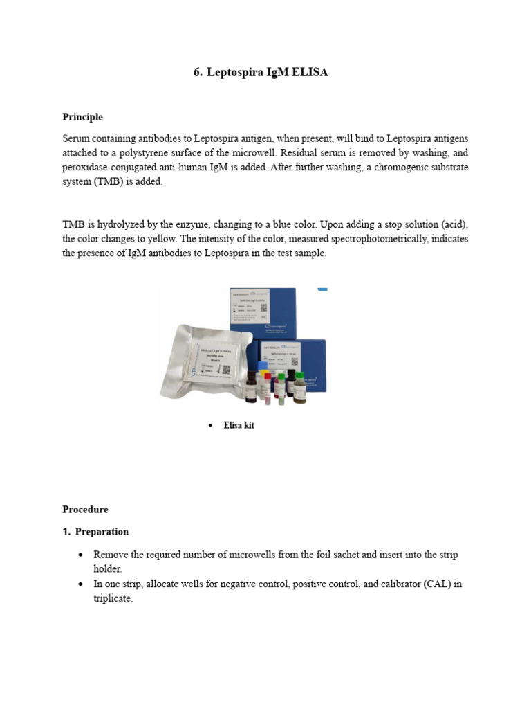 Leptospira Pdf Elisa Immunology 