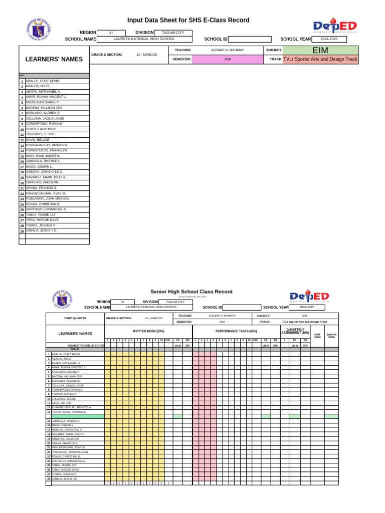 SHS E-Class Record Input Data 2024-2025 | PDF | Electrical Components ...