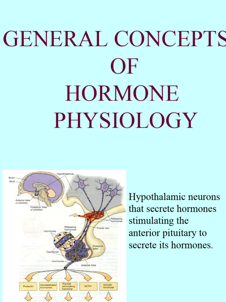 Hormone Physiology and Function Overview | PDF | Hormone | Endocrine System