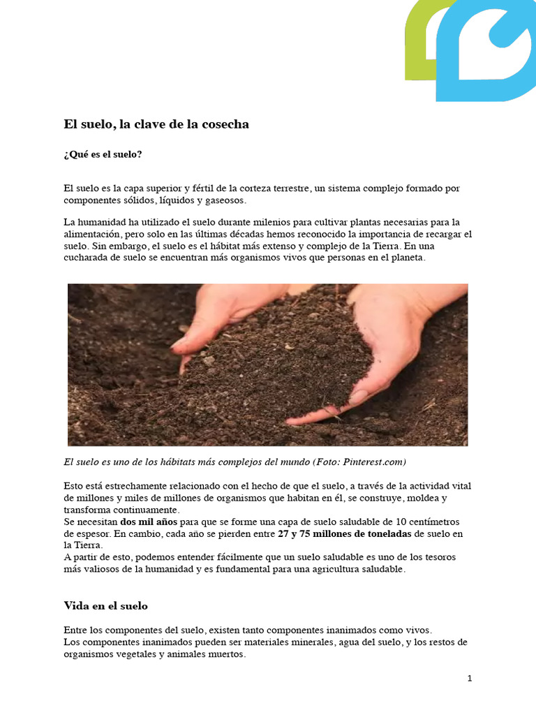 Importancia del Suelo en la Agricultura | PDF | Suelo | Agricultura