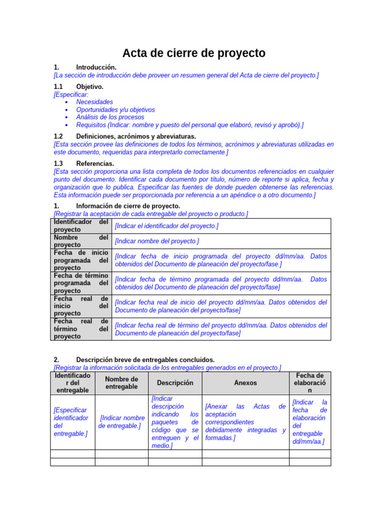 Acta de Cierre de Proyecto Detallada | PDF | Informática